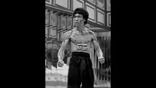 Bruce Lee  -  Hall of Mirrors