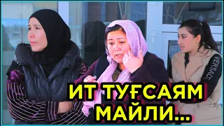 ДАХШАТ!!! ҚАЙНОНА РОДДОМДА ЖАНЖАЛ КЎТАРДИ. БEПУШТЛИККА ДАВО БОРМИ?