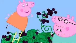 小猪佩奇 | 万圣节特辑🎃 | 1小时 | 猪爸爸猪妈妈特辑 | 粉红猪小妹|Peppa Pig Chinese |动画