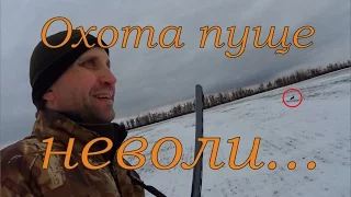 Охота на зайцев - Охота пуще неволи