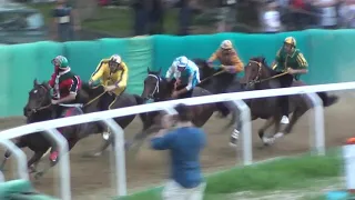 2019 Palio di Ferrara Corsa dei Cavalli