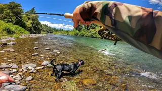 Incredible Sight Fishing for Large Brown Trout.