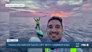 Paddleboarder faces off with a hammerhead shark