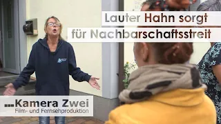 Ärger am Gartenzaun: Hahn sorgt für Nachbarschaftsstreit | Kamera Zwei