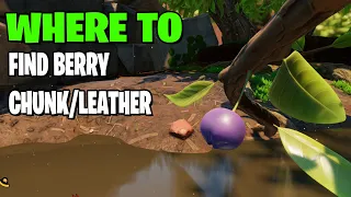 Where to Find Berry Leather/ Berry Chunks | Grounded 🐞🕷