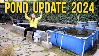 Koi Pond and Aquarium Updates 2024!