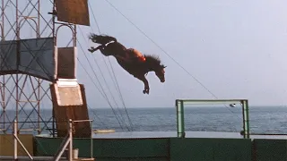 1959 Atlantic City ~ Showtime on the Steel Pier & Horse Diving