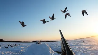 GOOSE HUNTING IN SIBERIA 2022. KOLYMA. EPISODE 3