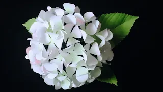 ABC TV | How To Make Hydrangea Flower From Printer Paper #2 - Craft Tutorial