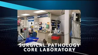 Henry Ford Surgical Pathology Core Laboratory Tour