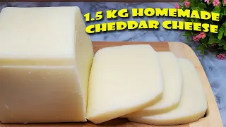 1.5 KG OF HOMEMADE CHEDDAR CHEESE FROM 1 LITER OF MILK Is that possible? Few people know this recipe