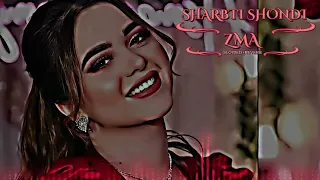 Sharbati Shondi Zama Pa Nama Mi krali Sta | SLOWD+REVERB | NEW PASHTO SONG 2023 |