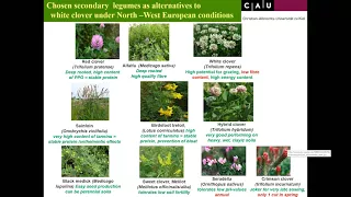 The potential of secondary legumes and multispecies mixtures in forage production