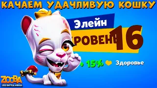 КАЧАЕМ ПАНТЕРУ ЭЛЕЙН НА 16 УРОВЕНЬ В ИГРЕ ZOOBA