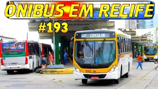 #193 Terminal Cais de Santa Rita ( parte 1 )  movimentação de ônibus em Recife