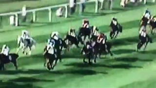 2018 Grand National horrific horse fall and collision