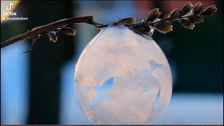 Как замерзают мыльные пузыри на морозе