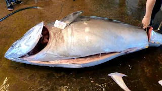 Fluency Cutting 400kg of Bluefin Tuna and Yellowfin Tuna