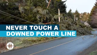 Why You Should Never Touch Or Move A Downed Power Line | Winter Safety