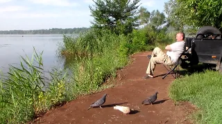 р. Красная (Сухая Московка ) , Место сброса мусора в воду .15. 06 .20г.