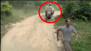 4 Rhino Encounters That Will Leave You Shook (Part 4)