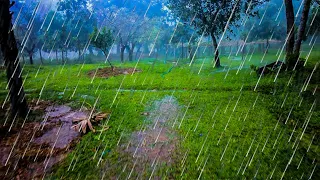 Peaceful Village on a Hill | Walk in Heavy Rain Can Relieve Your Stress | ASMR Rain Sound For Sleep