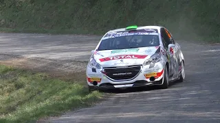 Peugeot 208 Rally Pure Sound [HD] #1