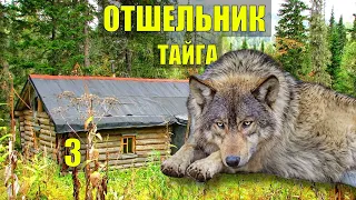 ВОЛКИ ОКРУЖИЛИ в ЛЕСУ ОТШЕЛЬНИК СНЕЖНЫЙ ЧЕЛОВЕК ЖИЗНЬ в ТАЙГЕ ИСТОРИИ из ЖИЗНИ в ЛЕСУ СЕРИАЛ 3