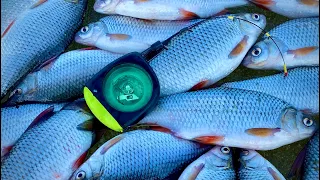 КРУПНАЯ БАТОНИСТАЯ ПЛОТВА🐟🐟🐟 НА ГИРЛЯНДУ!