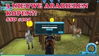 Star Stable Online - 3 Nieuwe Arabieren kopen?! | SSO Let's Play #104