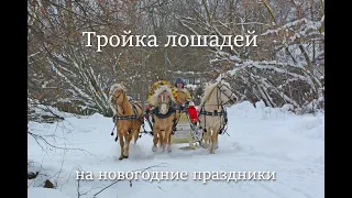 Катание на тройке на Новый год