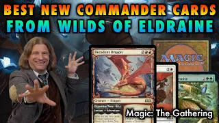 Best New Commander Cards From Wilds OF Eldraine! | Magic: The Gathering