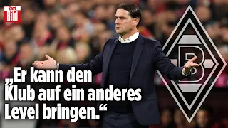 Borussia Mönchengladbach auf Trainer-Suche - Wer wird Nachfolger von Daniel Farke? | Reif ist Live