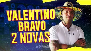 VALENTINO BRAVO 2022 2 NOVAS TOPS 👌 | GALOPINHO | EMPURRA 🔈ÉO VALENTINO BRAVO  PRA PAREDÃO 🔥