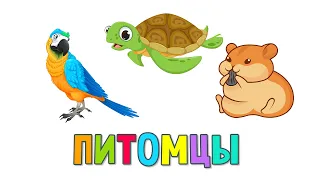 Питомцы - Карточки Домана - Звуки животных для детей - Раннее развитие 0+