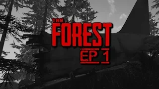 The Forest | Ep.1| Crash Landing on Cannibal Island | Funny and Scary