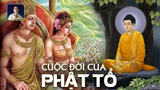 ĐỨC PHẬT THÍCH CA MÂU NI LÀ AI? I DISCOVERY