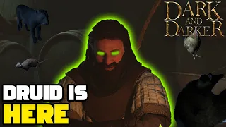 Druid is HERE - Dark and Darker Gameplay