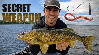 Dropshot Walleyes – The Ultimate Guide (SECRET WEAPON for Summer 'Eyes)