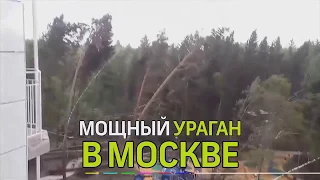 Синий квадрат - Ураганы в Москве