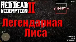 Red Dead Redemption 2 Легендарная Лиса