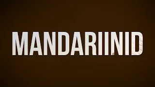 Mandariinid (2013) - HD Full Movie Podcast Episode | Film Review