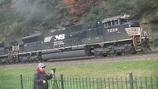 Horseshoe curve