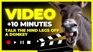 🐴 FORGET YOUR WORRIES let these funny animal moments melt your stress away #funny #funnyvideo #fun