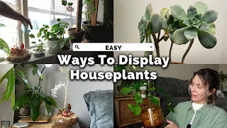 UPGRADE Your Home with Thrifted Plant Displays on a Budget!