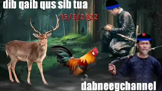 dab neeg mus dib qaib qus saib zoo li kauv tua ho yog neeg