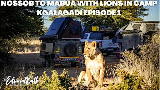 KGALAGADI | NOSSOB TO MABUA | A LION DESTROYED MY TYRE | Episode 1