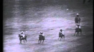 1959 Whitbread Gold Cup Handicap Chase