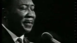 Got My Mojo Working - Muddy Waters, 1968