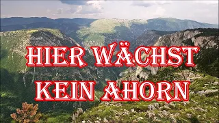 Hier wächst kein Ahorn (Dornen und Steine) - Fahrtenlied/German Hiking Song + English Translation